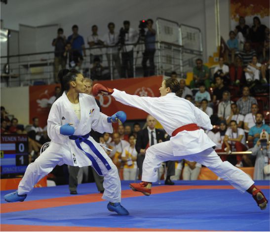 2013 MERSİN XVII. AKDENİZ OYUNLARI