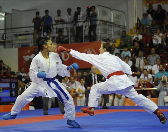 2013 MERSİN XVII. AKDENİZ OYUNLARI